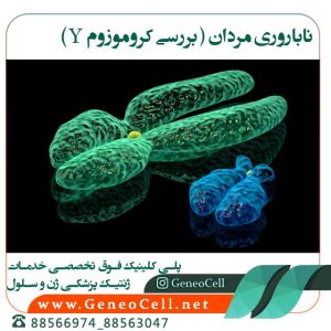 Male infertility and Y chromosome testing